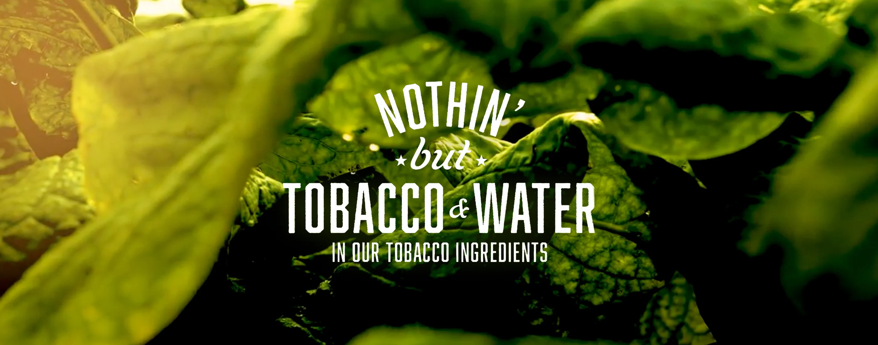 winston cigarettes tobacco and water - 20 Count winston tobacco and water cigarettes